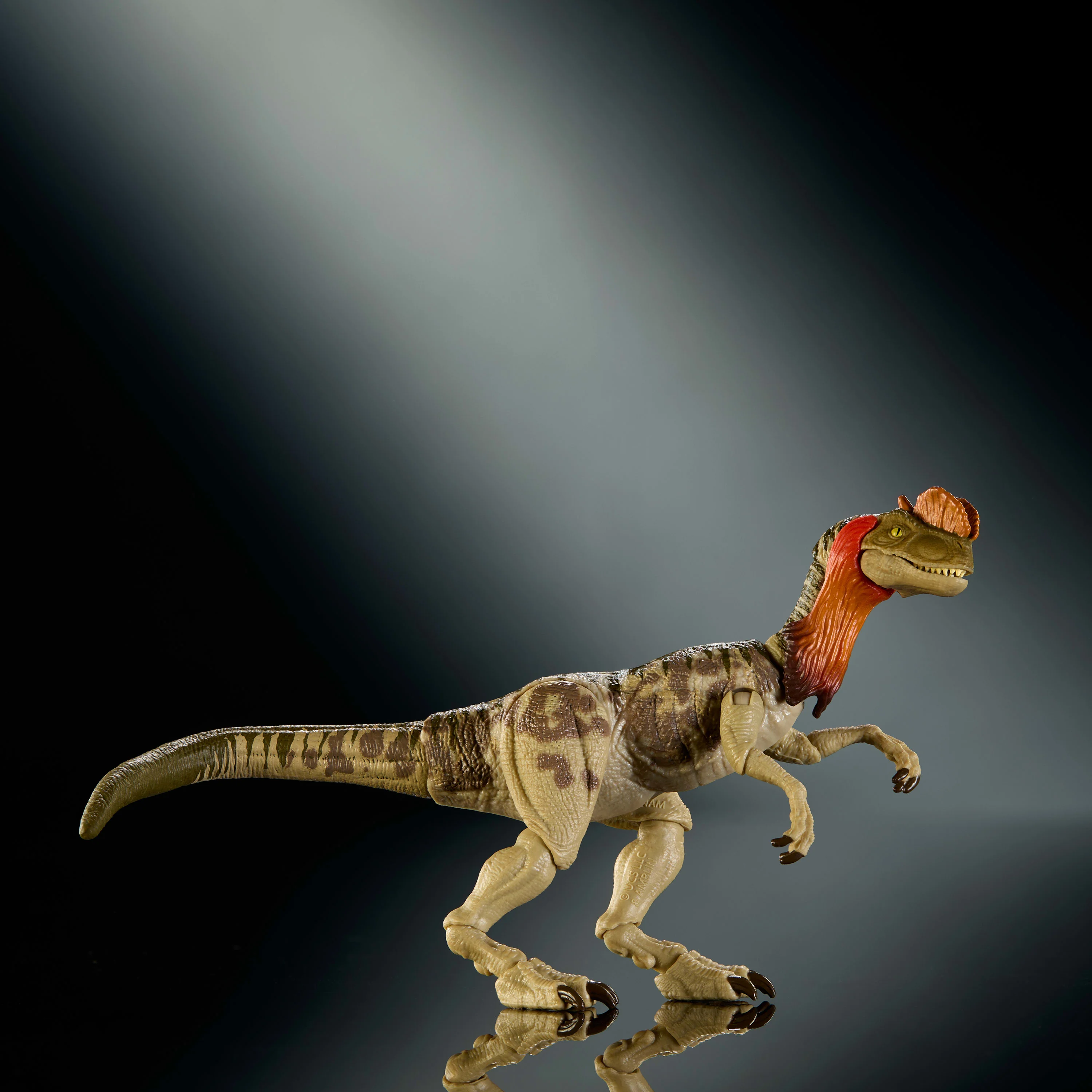 Jurassic World Hammond Collection Dilophosaurus Dinosaur Figure, Deluxe Design And Articulation - Image 4