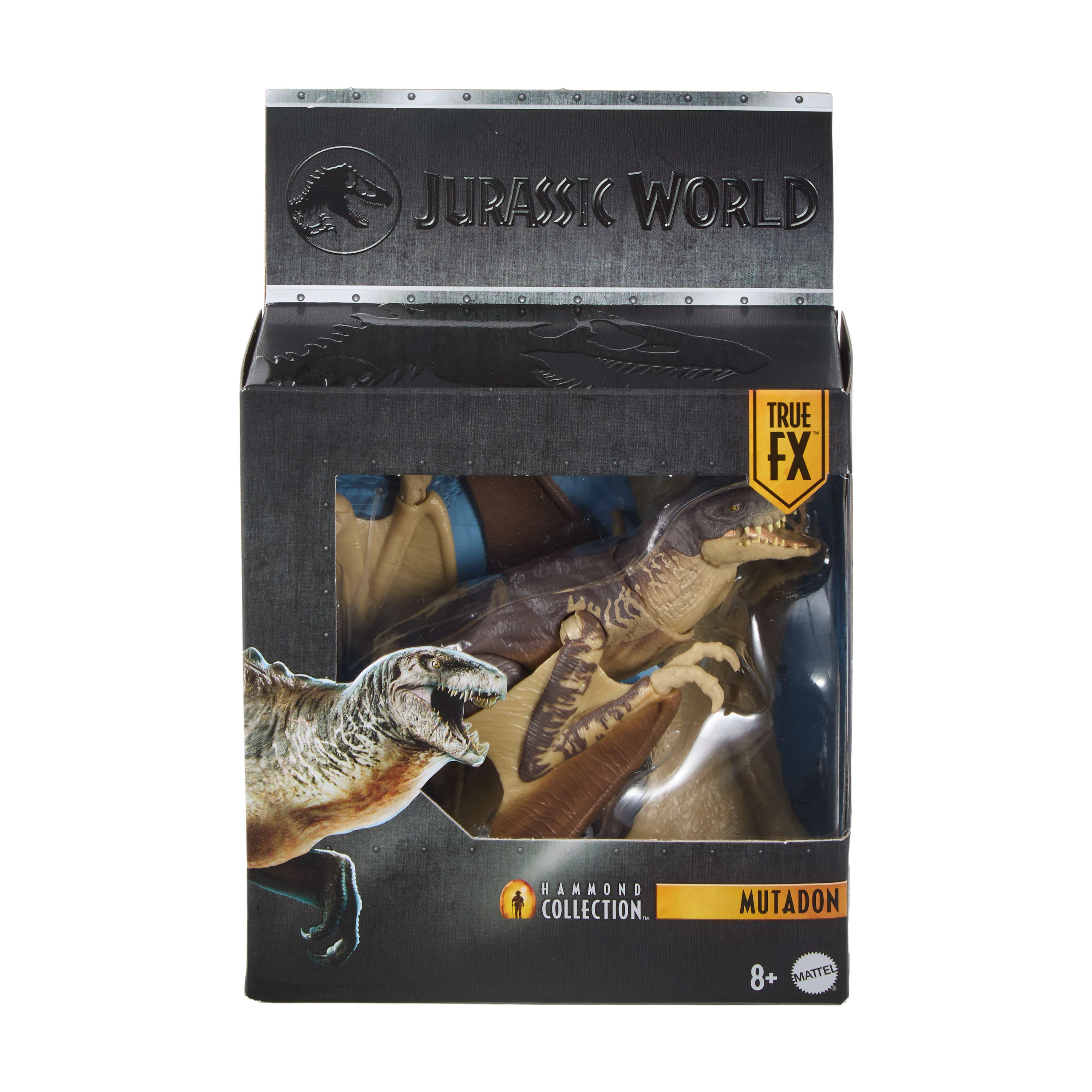 Jurassic World Hammond Collection Mutadon Dinosaur Figure - Image 6